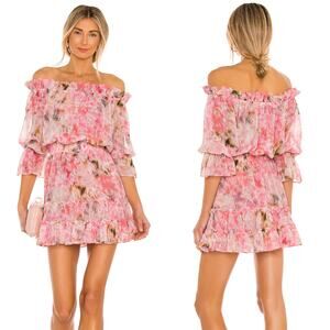 MISA Los Angeles Danae Mini Dress in Taza Floral Size Small